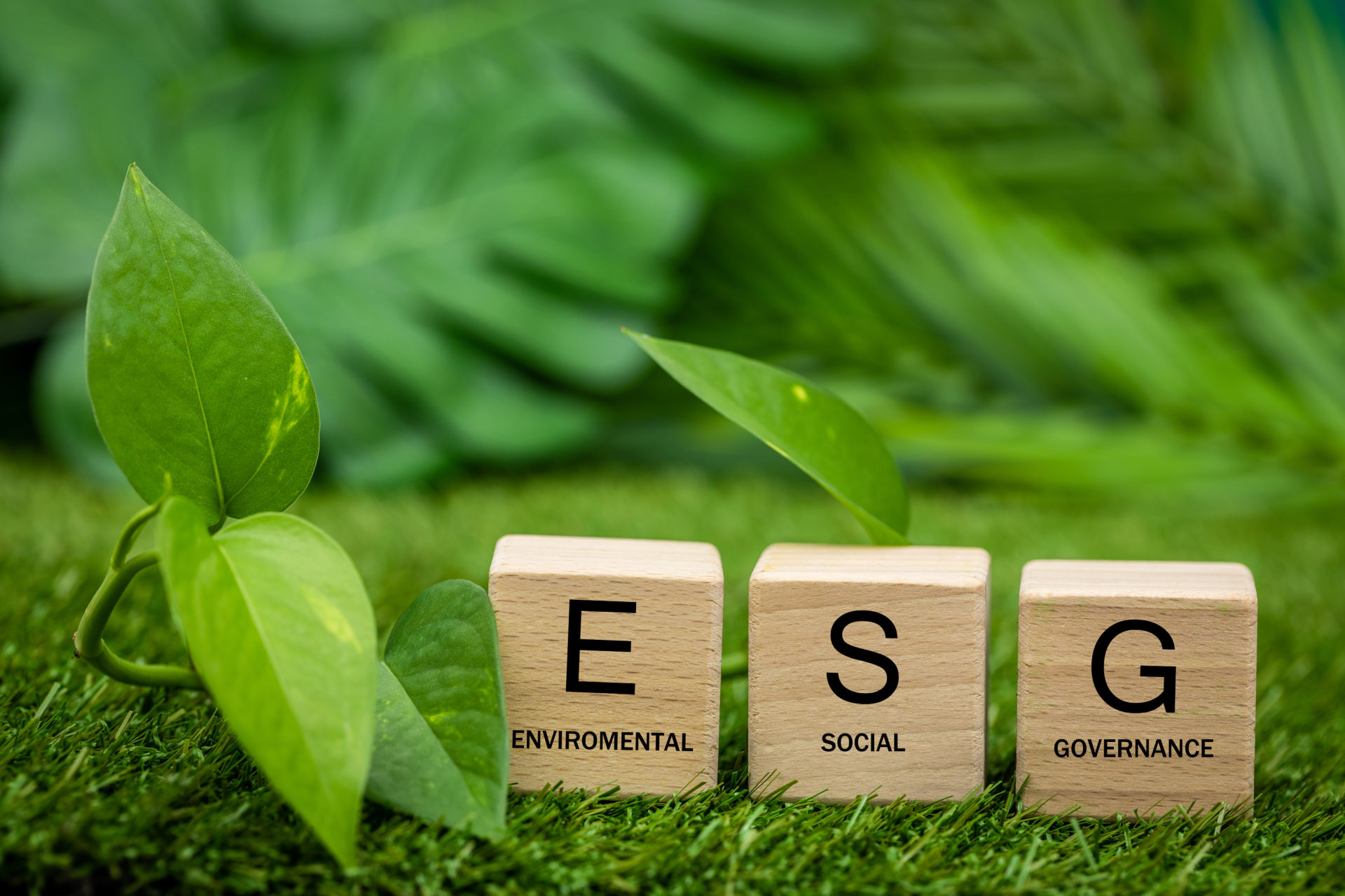 Introduction au rapport ESG | IBE BVI